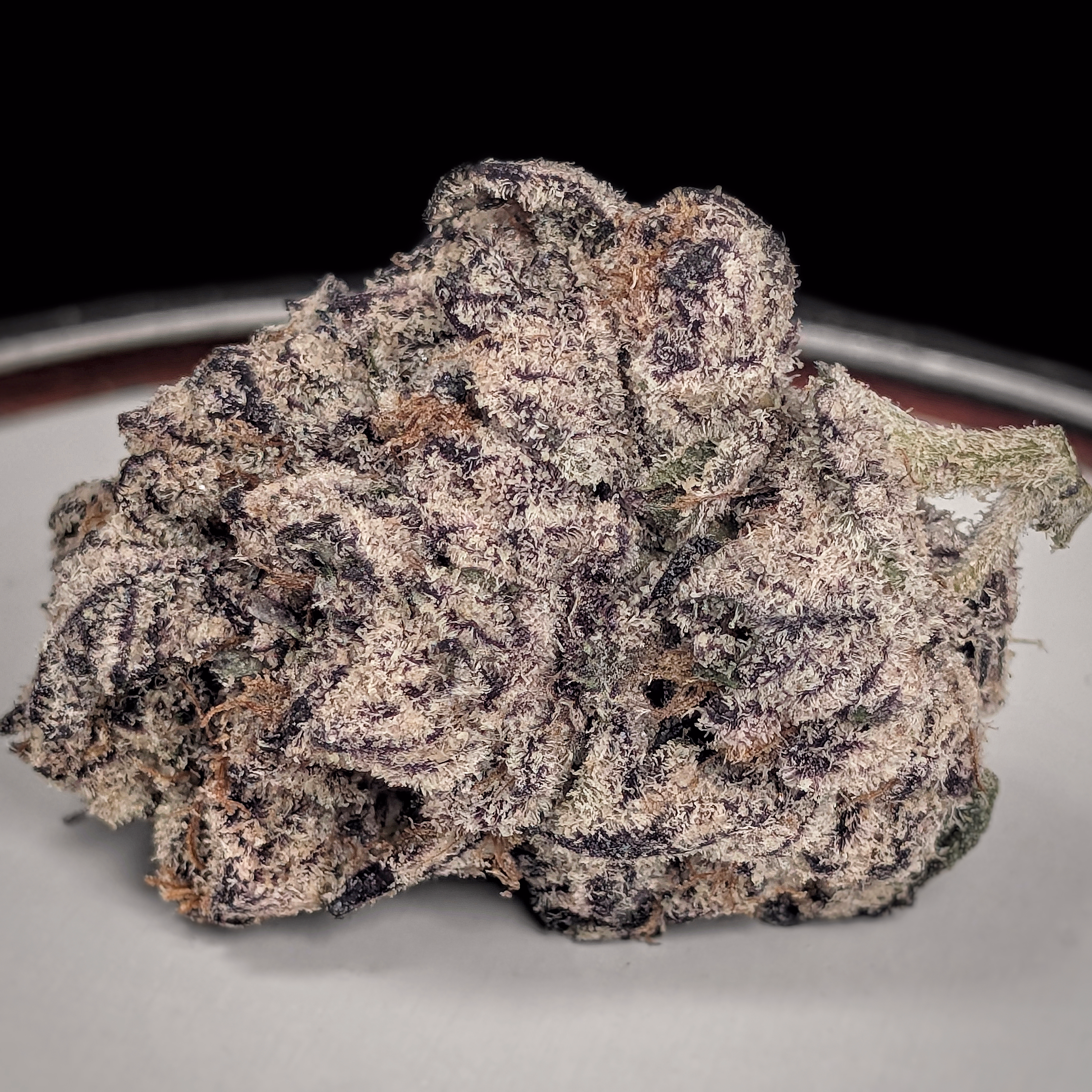 **NEW** 🚀⛽️🥵 Scotty 2 Hotty pr $210oz / $130½oz